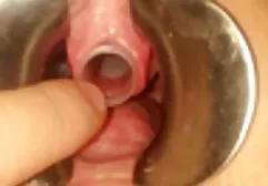 Reife mature titten tube deutsche Hausfrau mit riesigen Titten wird von einer Poolreinigung gefickt