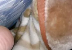 Drei junge riesenbusen porn Japanerinnen werden mit kleinen Vibratoren versaut gefickt