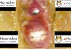 Fick mit einem schwarzen Penis kleine titten sex tube als Offenbarung